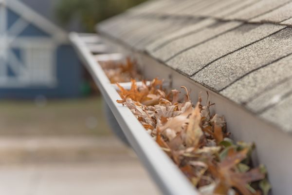 Leaf Barrier Installation in Katy